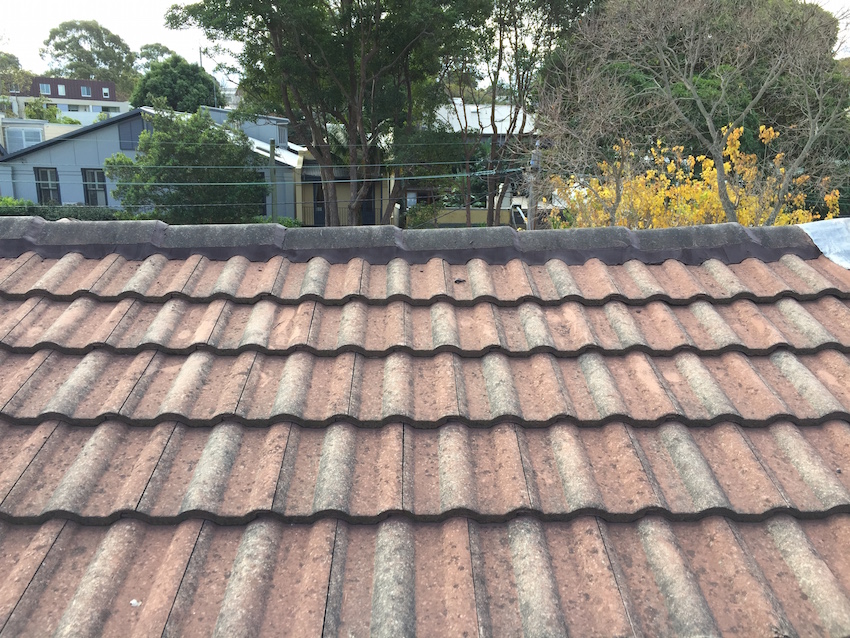 Repoint ridge Balmain